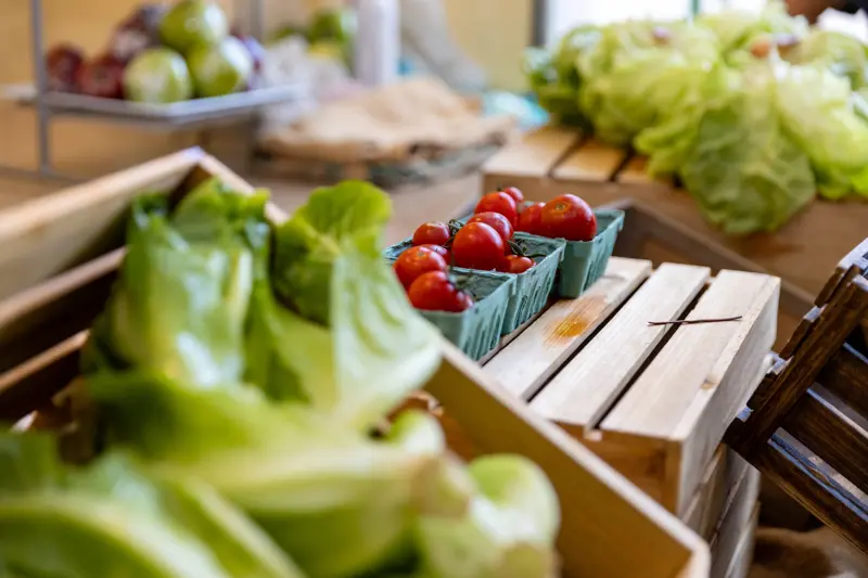 Shapiro Farmers Market_082024