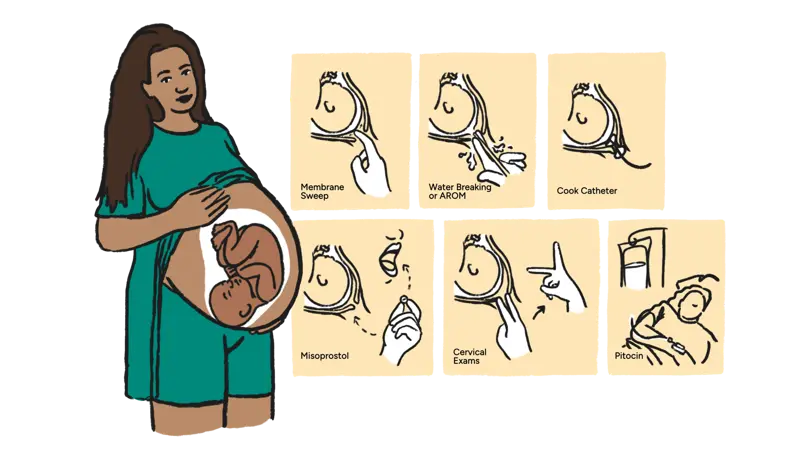 BMC_01.29_16:9 - Grid-Induction