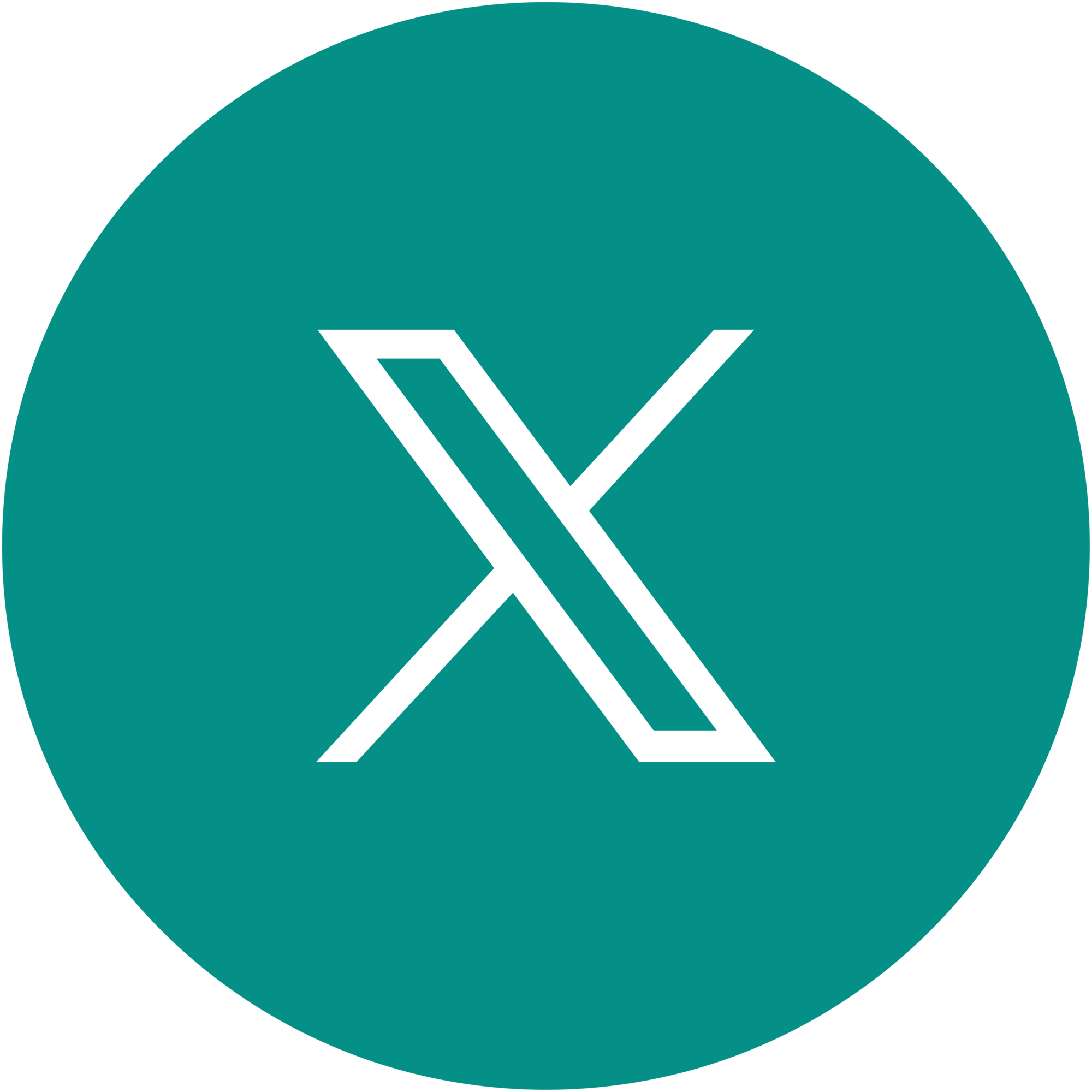 X (Twitter) logo
