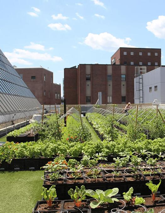 BMC roof topfarm