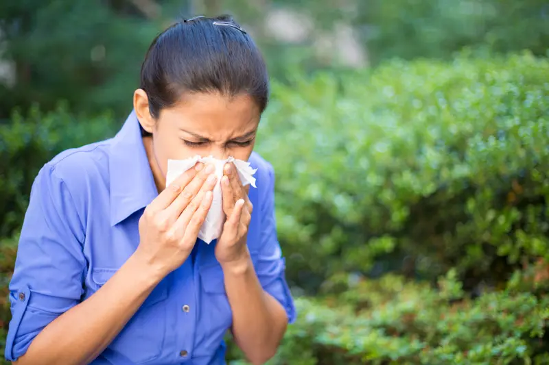 Closeup portrait young woman in blue shirt with allergy or cold blowing her nose with a tissue looking miserable .