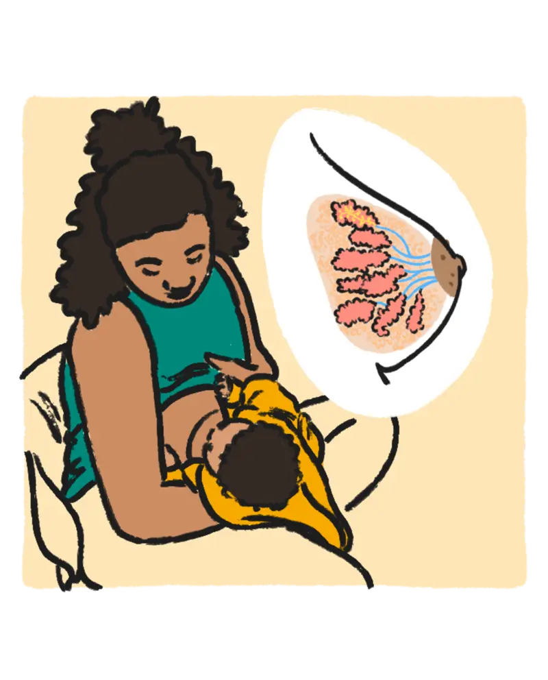 BMC_01.29_3:4 - Misc-Breast