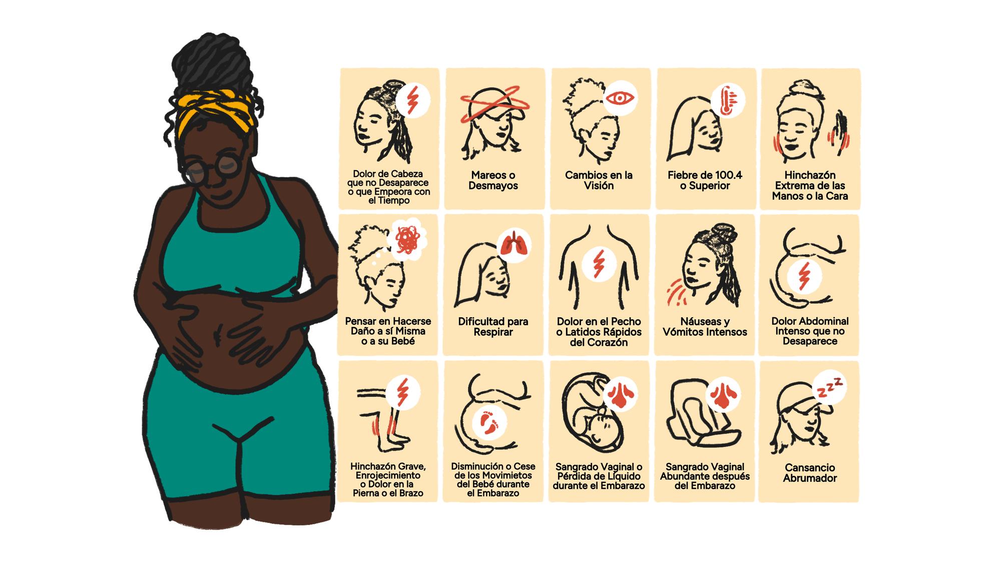 Illustration by Cheyenne Varner showing a pregnant person looking down at their hands on their belly, next to a grid with small illustrations displaying 15 different signs to watch out for during pregnancy (text in Spanish)