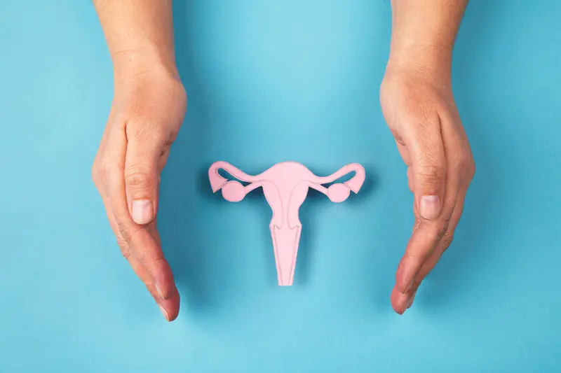 Female reproductive system made of paper and hands isolated on blue background